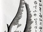 鱼