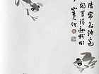蛙