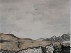 IMG_9835