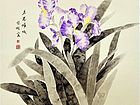 长白山山花系列—名花倾城总相宜