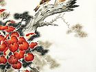 《红霞白头》