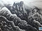 画家李颠焦墨山水作品