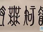 辛炳申书法作品009