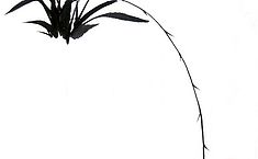 林英全书画<b>艺术欣赏</b>