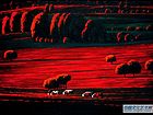 张韫韬油画作品03