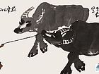 野牧