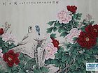 国画家康利民花鸟作品《富贵白头》