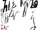 张韫韬书法作品12