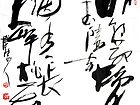 张韫韬书法作品14