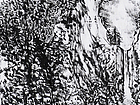 国画