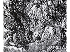 国画