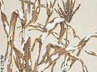 郭慧庆花鸟画