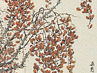 郭慧庆花鸟画