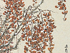 境与静系列之 (19)