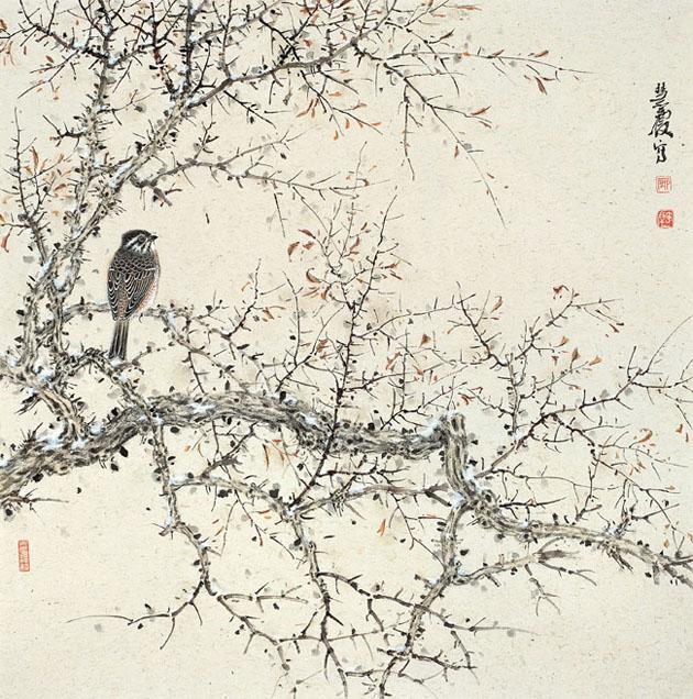境与静系列之 (25)
