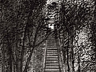 画家张国亮山水作品《龙门石窟写生系列之十五》