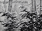 作品
