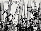 作品