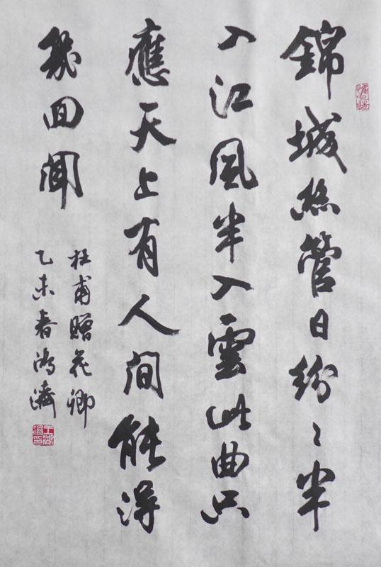 王鸿济作品