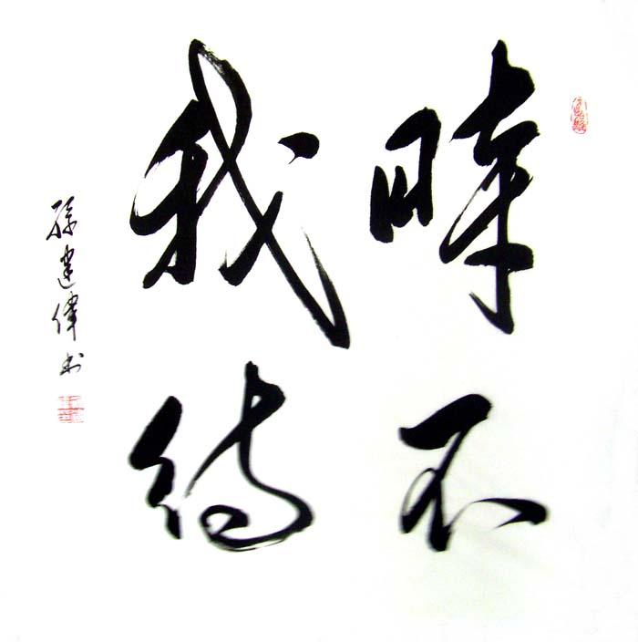 103时不我待-其它书法-我的作品-毛体书法家 孙建伟 官方网站-文化